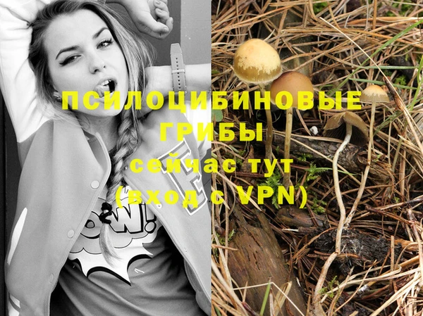каннабис Новый Уренгой