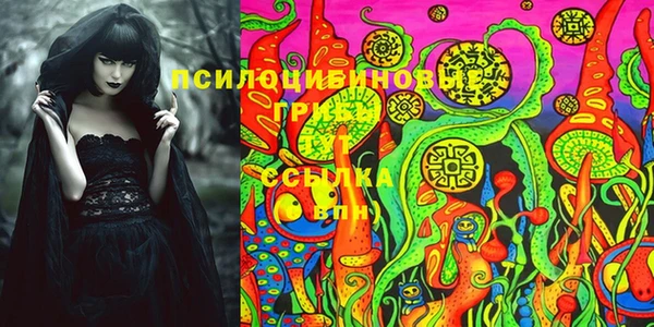 a pvp Богородицк