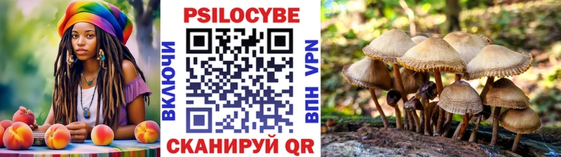 MEGA зеркало  Большой Камень  Псилоцибиновые грибы ЛСД 